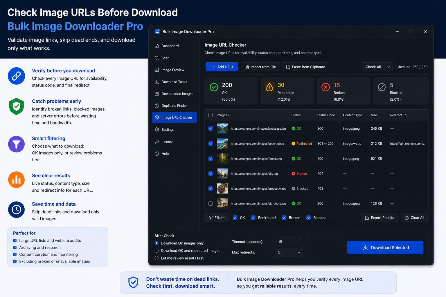 Check Image URLs Before Download — Bulk Image Downloader From URL List