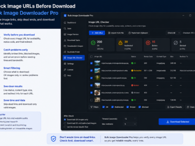Check Image URLs Before Download — Bulk Image Downloader Pro