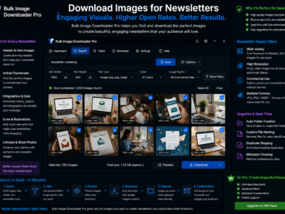 Download Images for Newsletters — Bulk Image Downloader Pro