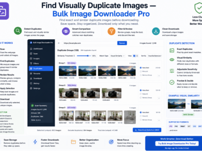 Find Visually Duplicate Images — Bulk Image Downloader Pro