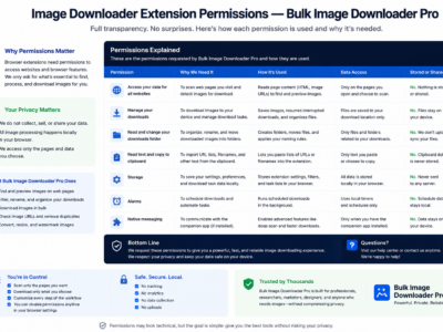 Image Downloader Extension Permissions — Bulk Image Downloader Pro