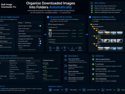Organize Downloaded Images Into Folders Automatically