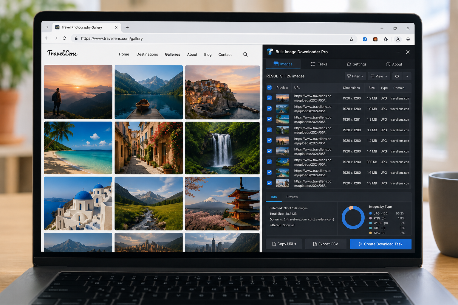 Review Scraped Image Results — Bulk Image Downloader From URL List