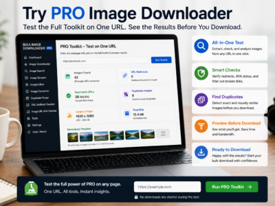 Try PRO Image Downloader — Test the Full Toolkit on One URL