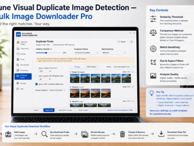 Tune Visual Duplicate Image Detection — Bulk Image Downloader Pro